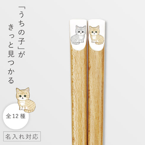 にゃんきゃわ箸